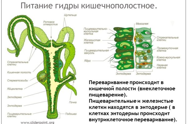 Кракен маркет